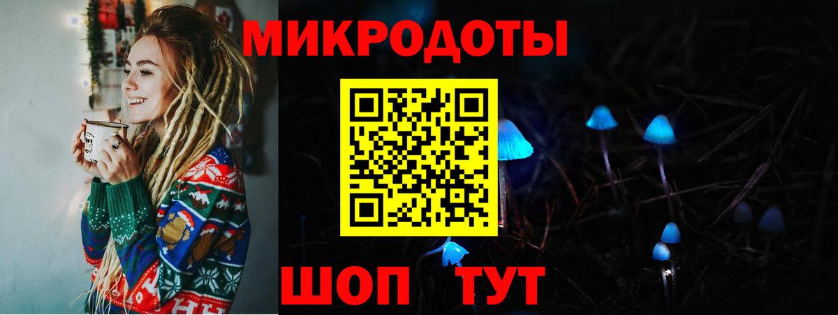 Псилоцибиновые грибы Cubensis  Галлюциногенные грибы мицелий  Вход с VPN  Дмитров 
